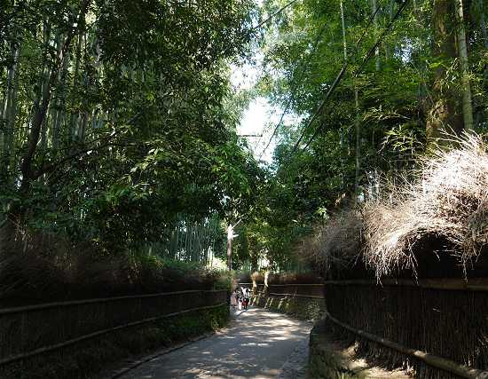 竹林の道　入口