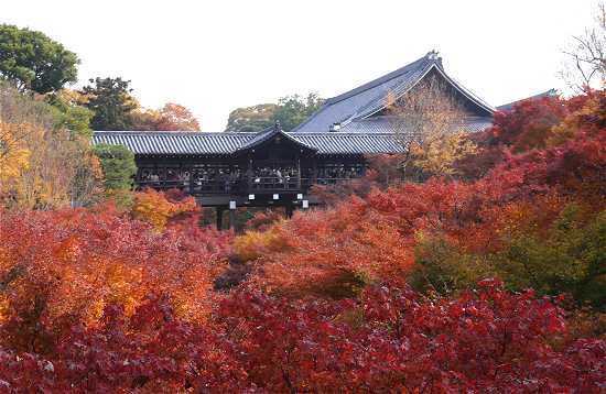 臥雲橋から見た東福寺の紅葉