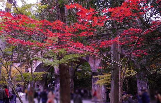 南禅寺水路閣の紅葉