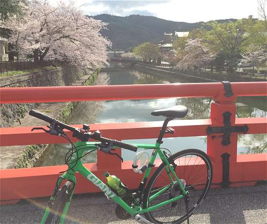 京都自転車観光
