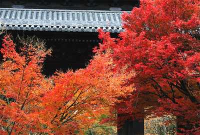 南禅寺三門 紅葉